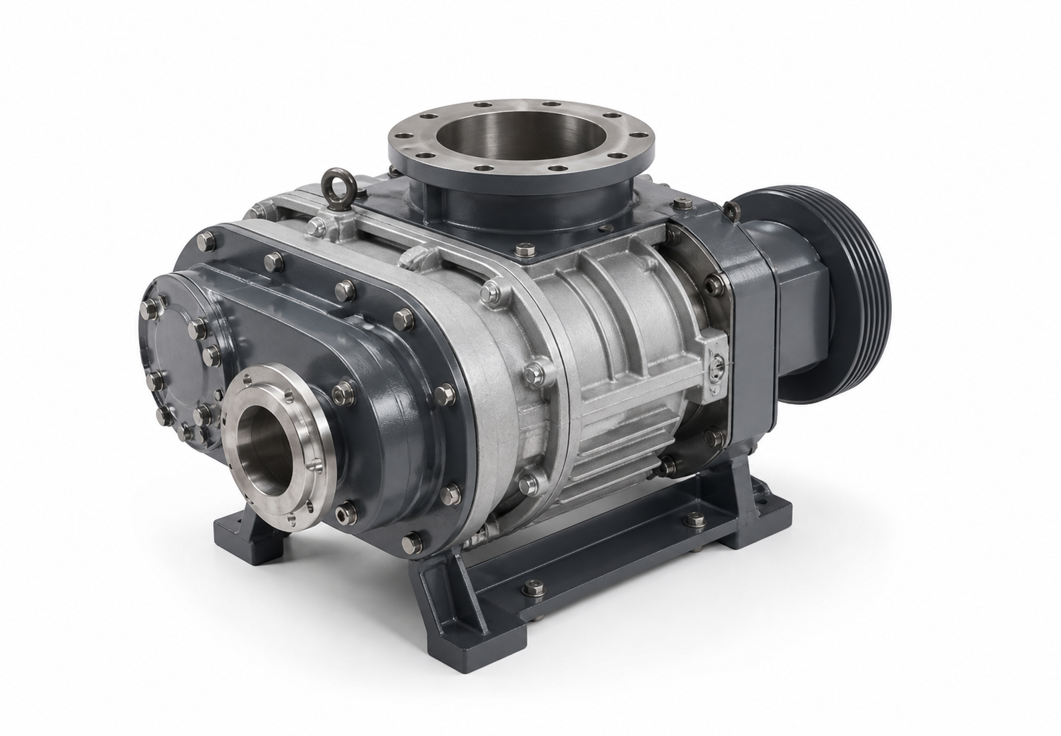 Rotary blower